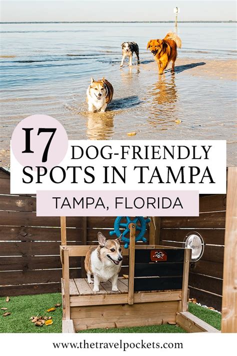 Pet friendly tampa fl. Things To Know About Pet friendly tampa fl. 